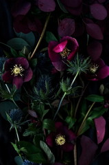 Flowers composition background. Bouquet of purple flowers Helleborus and eucalyptus leaves on a dark background. Low key.top view.
