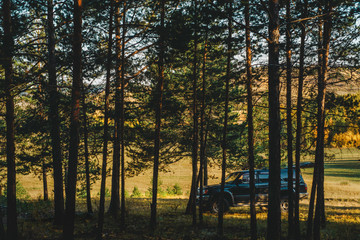  SUV in the forest in autumn