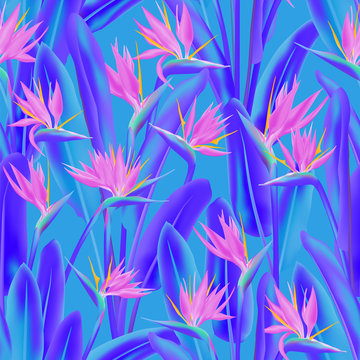 Bird of paradise tropical flower vector seamless pattern. Bohemian tropical plant fabric print design. South African plant tropical blossom of crane flower, strelitzia. Floral textile print.