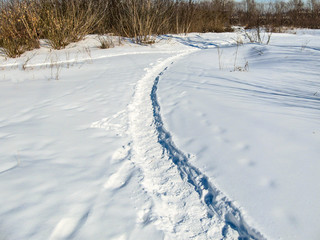 Fototapeta na wymiar Shadows and footprints in the snow