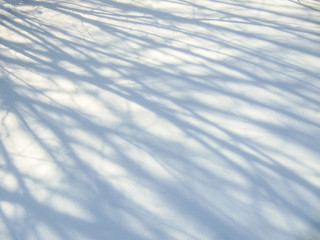 Shadows and footprints  in the snow