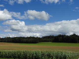 paysages