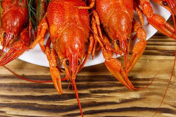Boiled crayfish in plate on wooden table. Top view