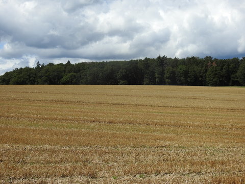 paysages