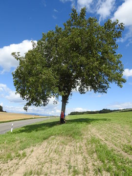 paysages