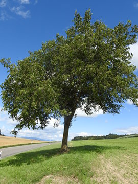 paysages