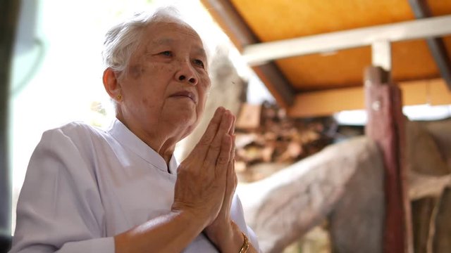 An Asian old lady, a Buddhist, has white hair, white clothes, sitting and hands clasping, listen to Buddhist monks praying at the merit making ceremony in the Buddhist temple.