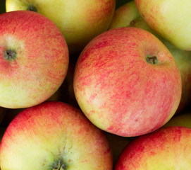 Food. Freshly picked organic apples close up. Fruit background