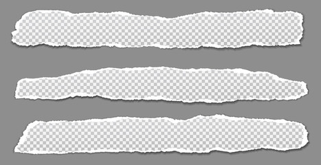 Pieces of torn, white squared realistic horizontal paper strips with soft shadow are on grey background. Vector illustration