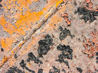 Typical detail of an antique metal panel of an Italian rural house, in iron with rust and cracked paint.