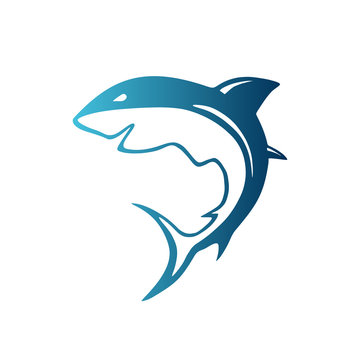 shark logo vector
