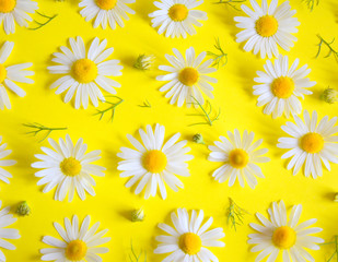 Fototapeta premium beautiful unobtrusive pattern of daisies, leaves and buds on a yellow background
