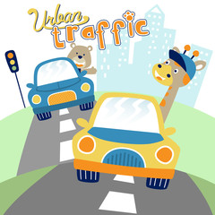 funny animals cartoon driving car, giraffe and bear