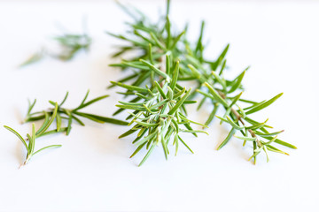 In campo alimentare, sotto forma di estratto, viene usato come additivo dotato di proprietà antiossidante ed etichettato con la sigla E392. 