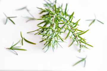 Il rosmarino, originario dell'Europa, Asia e Africa, è ora spontaneo nell'area mediterranea nelle zone litoranee, garighe, macchia mediterranea, dirupi sassosi e assolati dell'entroterra.