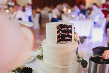 cut weding cake at a bridal reception 