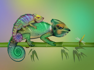 Obraz premium illustration of two camouflaged chameleons