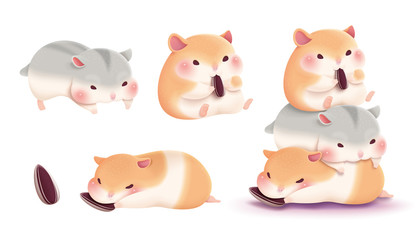 Lovely chubby hamster