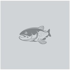 trout fish image