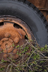 chenilles, tank rouillé abandonné