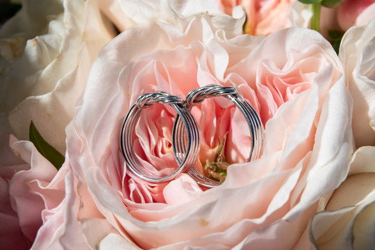 pair of wedding rings with pastel purple rose for background image