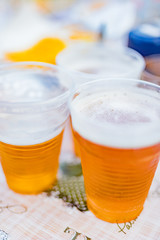 Beer glasses on a picnic table in the backyard.