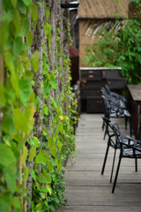 wooden chair in the garden