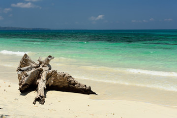 Kala Patthat Beach, Havelock Island, Andaman and Nicobar Islands, India