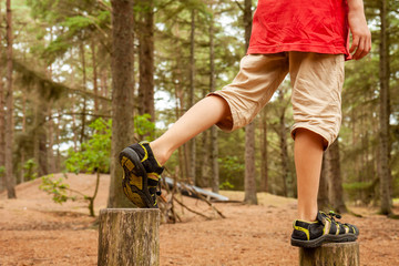 Obraz premium Boy balancing on trees - jumping from one to the other