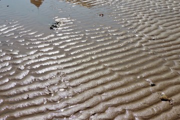 ripples in the sand