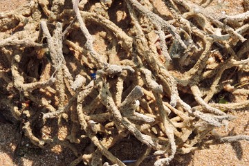 closeup of fishing net