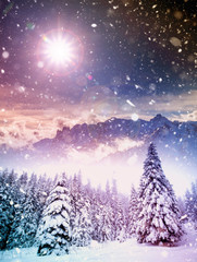 Naklejka premium Majestic winter landscape with snowy fir trees. Winter postcard.