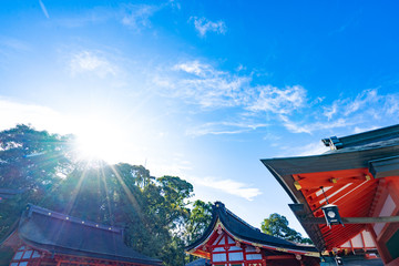 Kyoto Travel : Landscape of Fushimi Inari Taisha