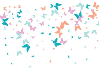 Fototapeta na wymiar Festive butterfly confetti background. Frame vector pattern texture for holiday, postcard, poster, carnival, banner, birthday and children's parties. Butterfly cover mock-up. Wedding butterfly layout