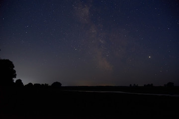 Starry sky and silhouette of grass and trees