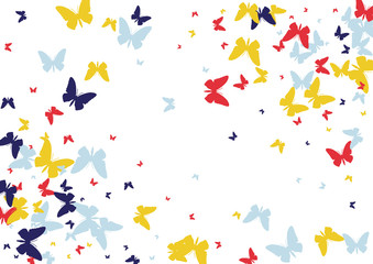 Festive butterfly confetti background. Frame vector pattern texture for holiday, postcard, poster, carnival, banner, birthday and children's parties. Butterfly cover mock-up. Wedding butterfly layout