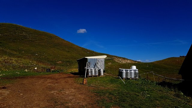R&eacute;colte du lait dans les alpes