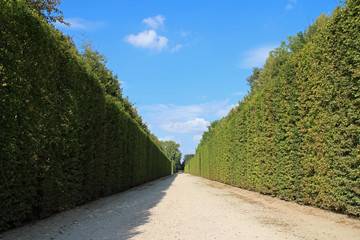 in the gardens of the castle of versailles in france