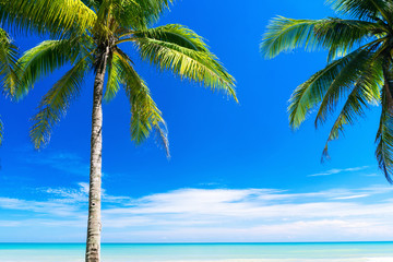 Copy space of tropical beach with palm tree on blue sky and white clouds abstract background.