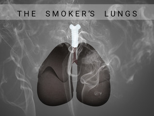 The smoker's lungs