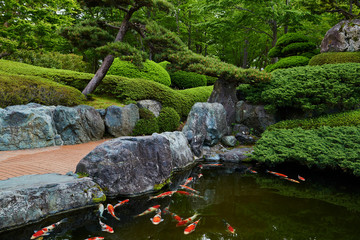 Japanese style garden