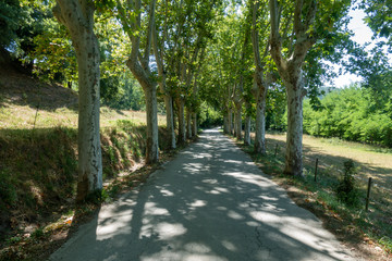 Fototapeta na wymiar The ter route through the interior of Girona