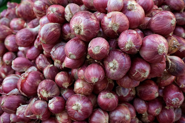 red onion close up