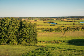 Fototapeta na wymiar View from the settlement on the Biebrza estuary to Narew in Wizna, Podlaskie, Poland