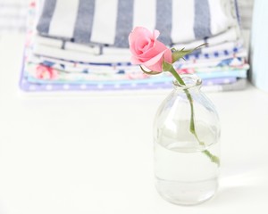 Pink rose in a glass bottle on a white table