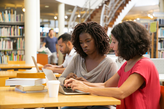 Focused women using laptop at library. Concentrated ladies working with modern device at public library. Education concept