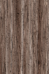 Fototapeta premium Wood texture