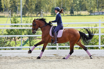 Woman riding sportive dressage horse down the path in the evening 