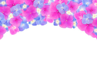 Fototapeta na wymiar Top view of frame made of pink and blue hydrangeas hortensia flowers on white background with copy space. Flat lay. Celebration concept.