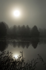 Foggy morning over the lake - vertical view